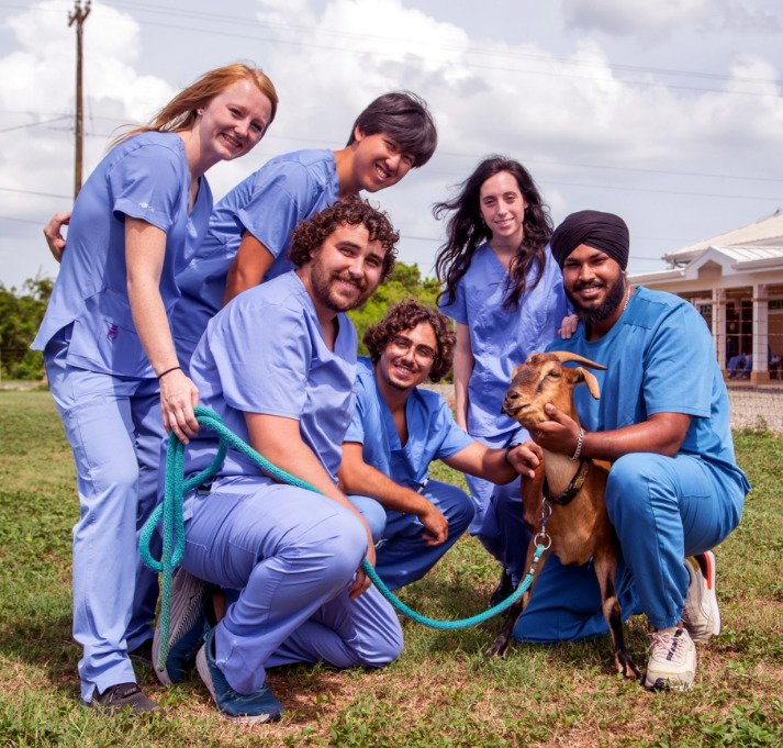 PreVeterinary Program at St. Matthew's
